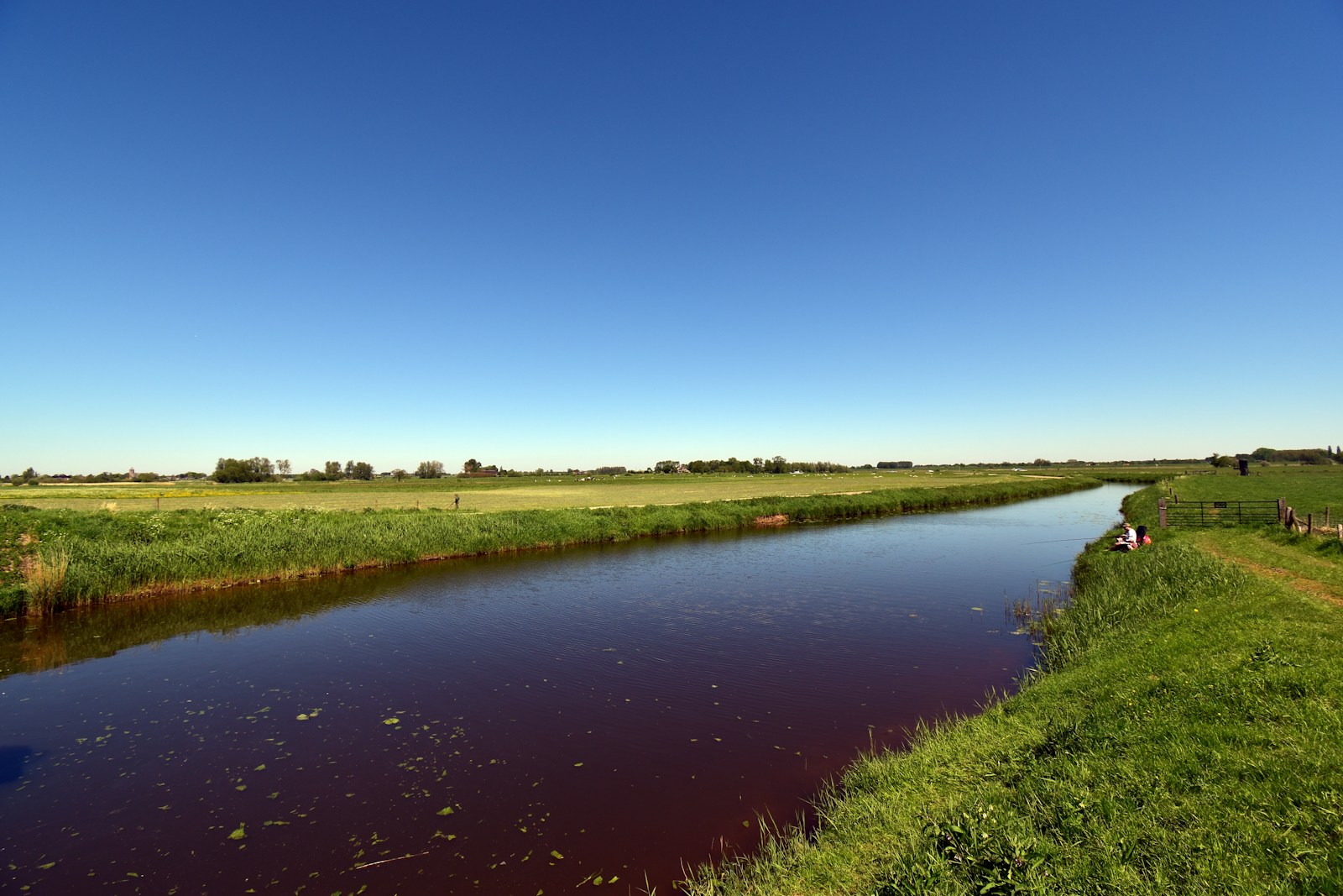 a river running through a lush green field