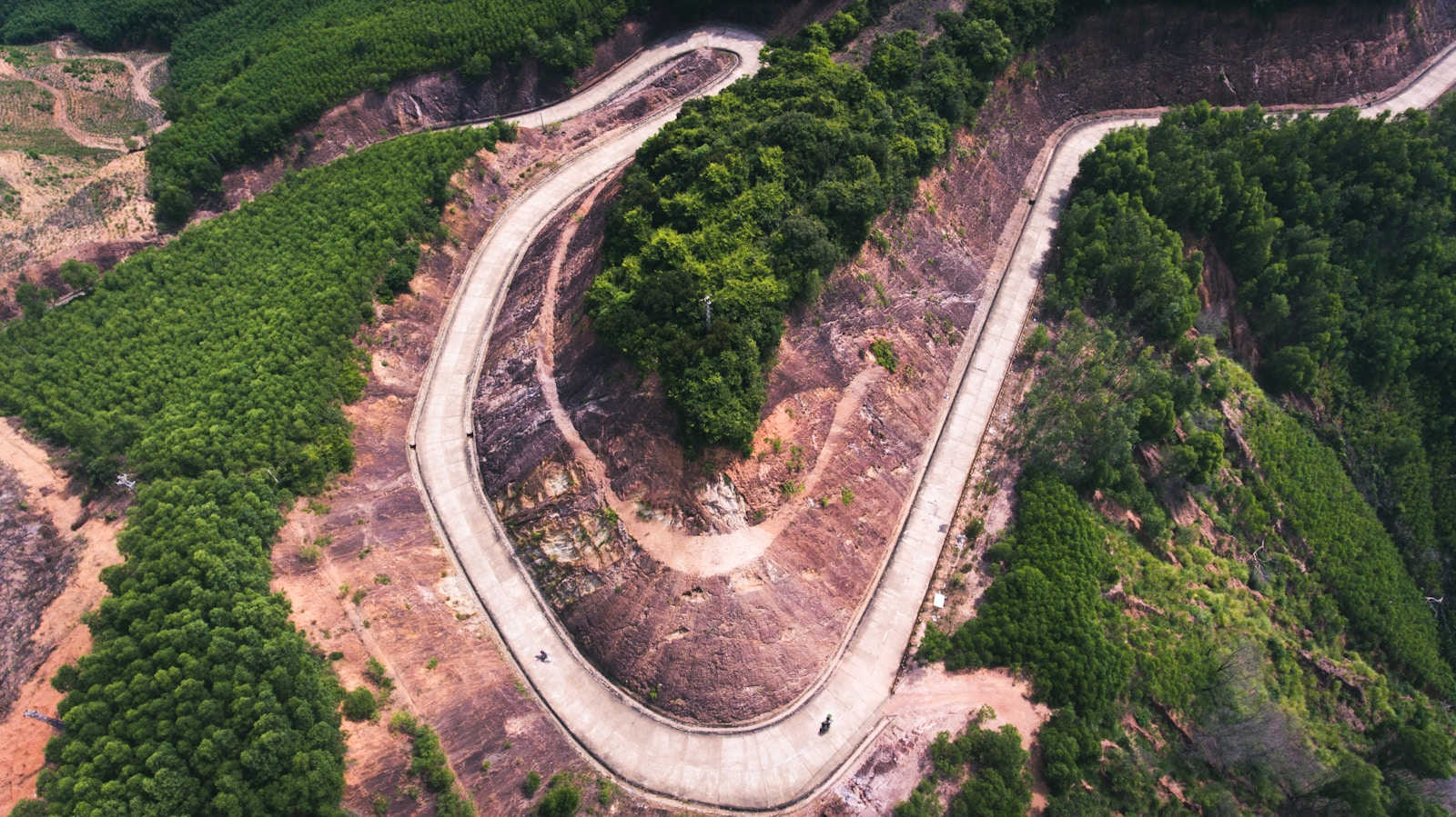 bird's-eye view photo of highway in between of trees