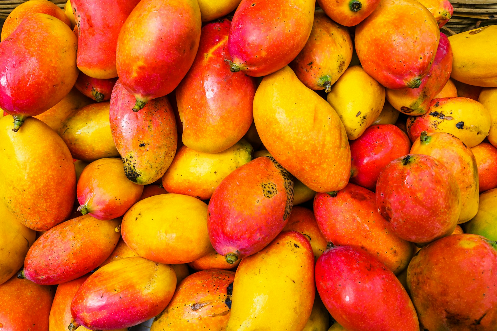 yellow and red fruit lot